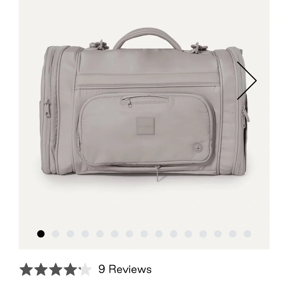 Maxbone All-In-One Travel Carrier in Stone